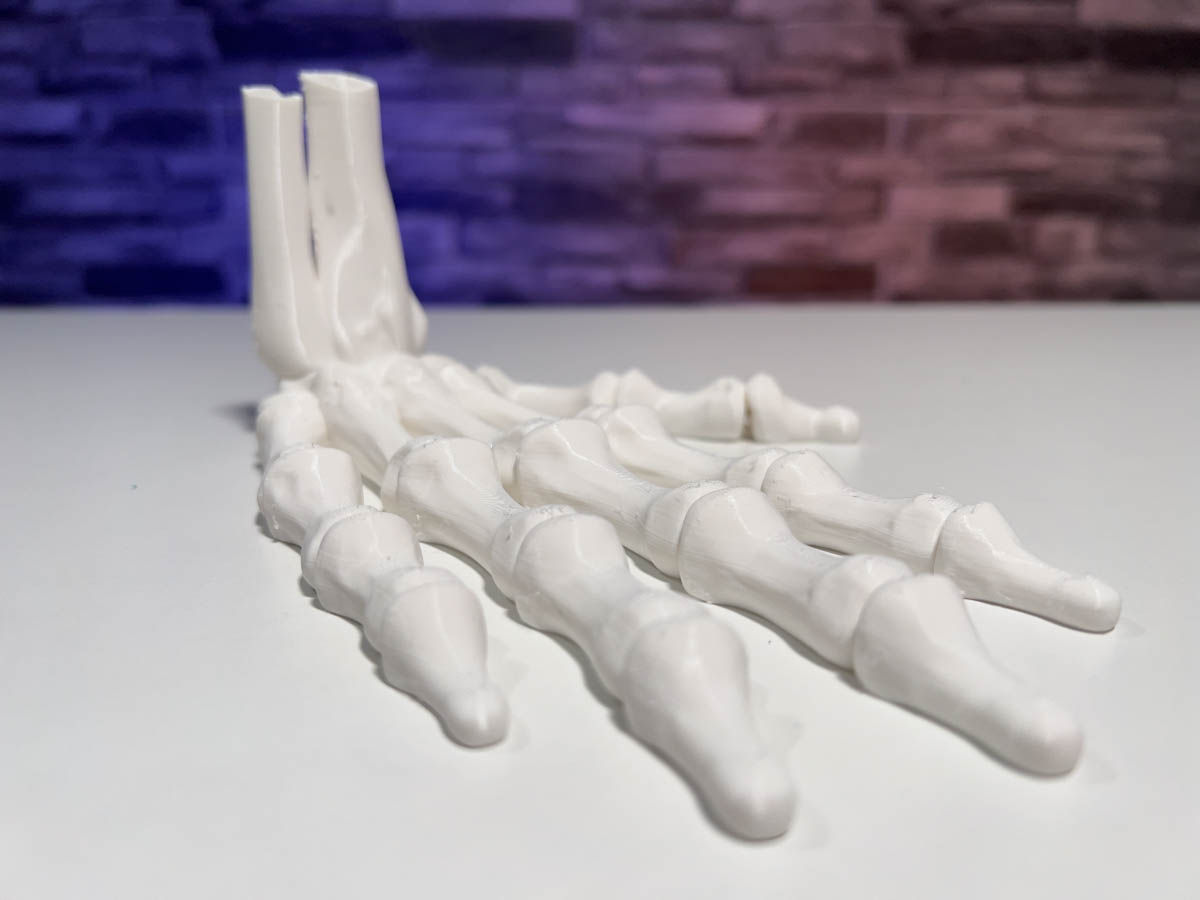 3D Printed Skeleton Hand