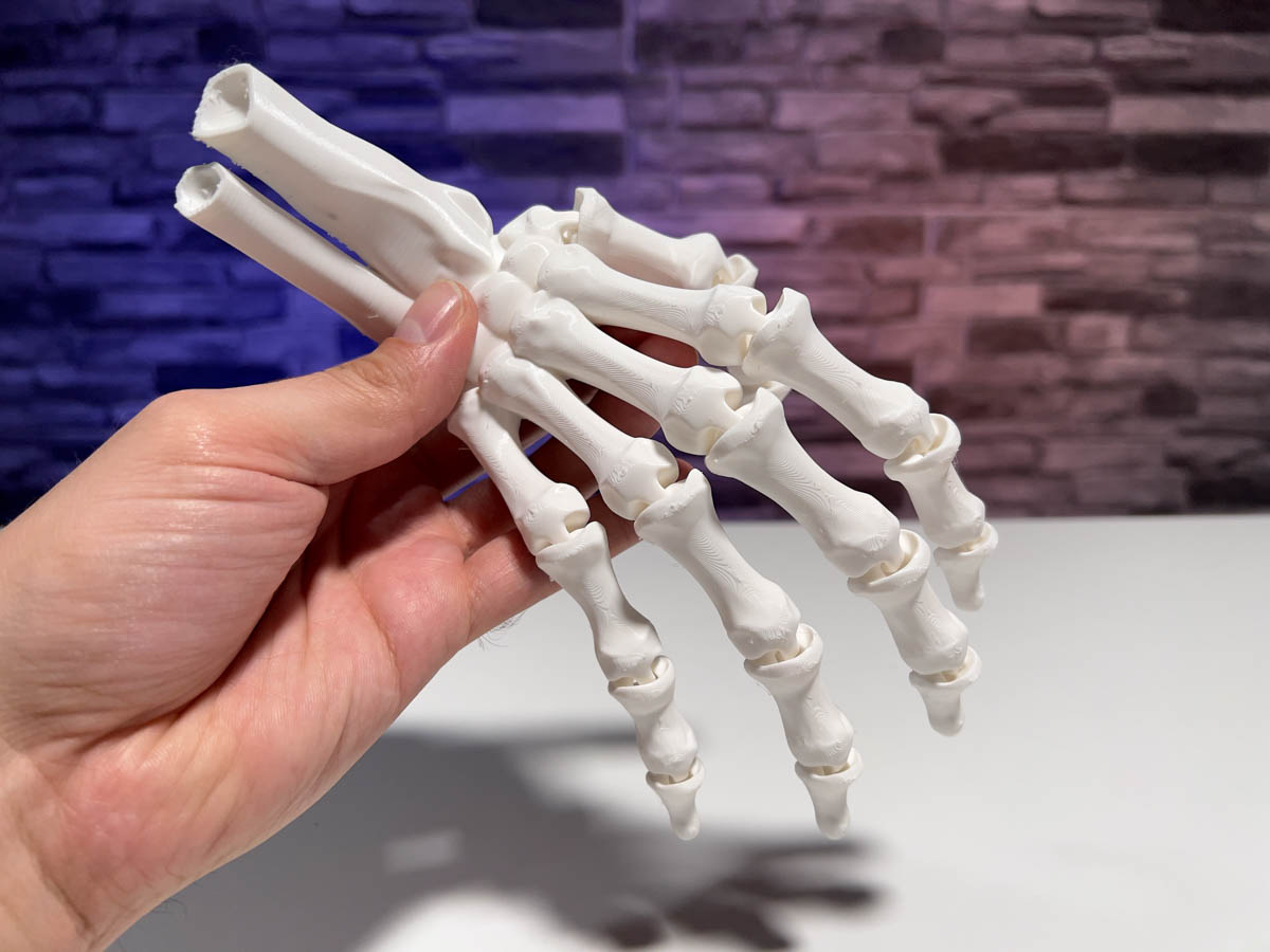 3D Printed Skeleton Hand