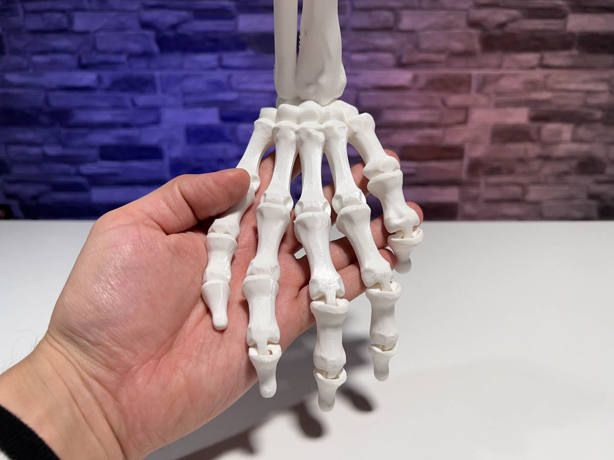 3D Printed Skeleton Hand