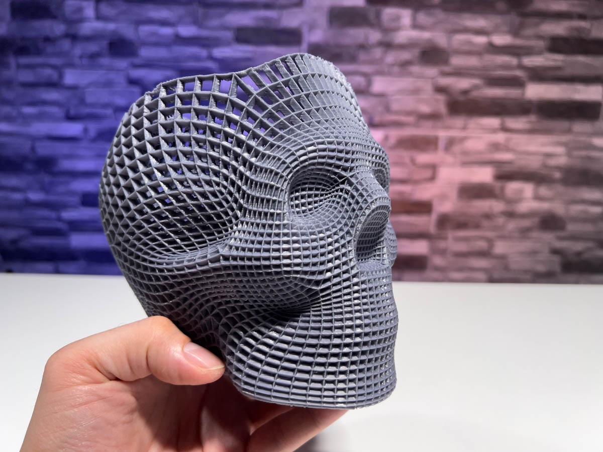 3D Printed Wireframe Skull
