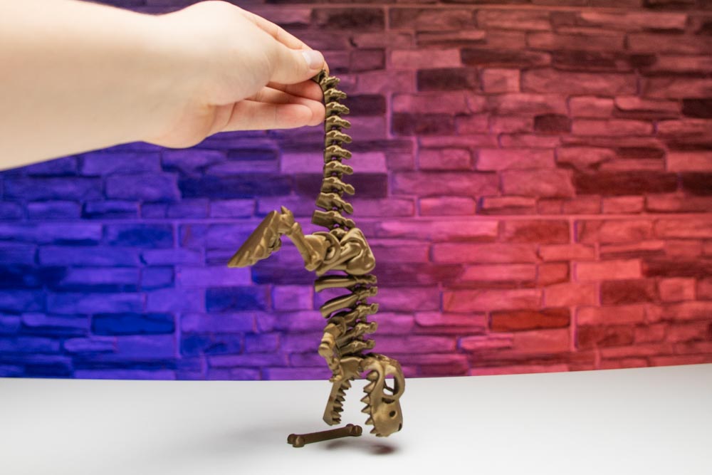 3D Printed Dinosaur Skeleton