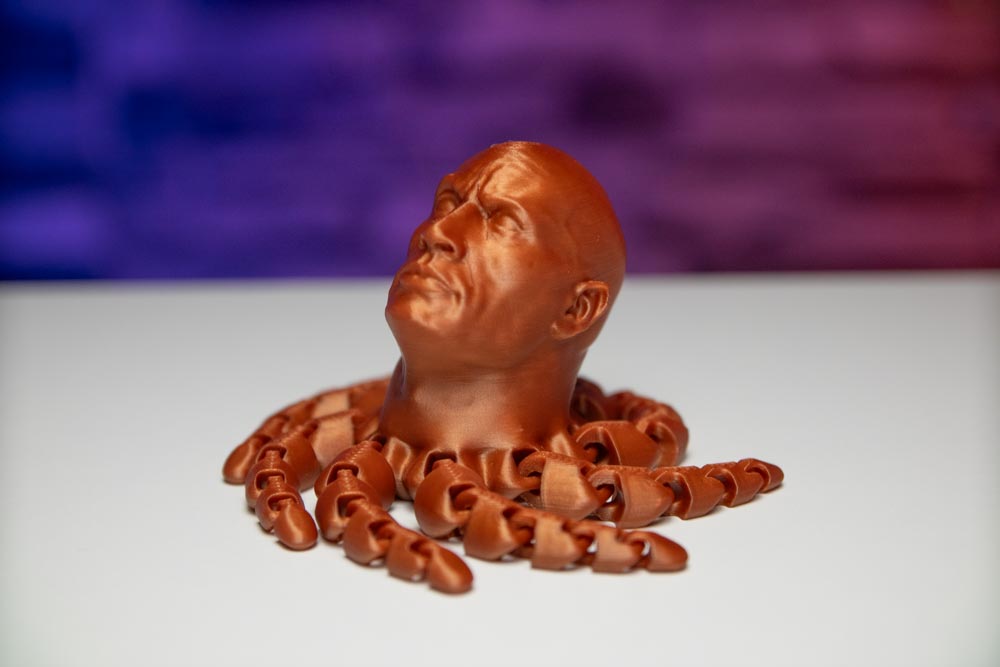 The Rock 3D Print Octopus