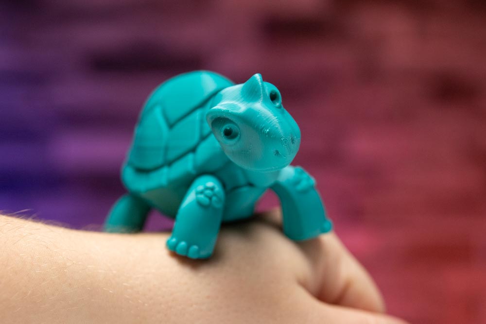 3D Printed Turtle