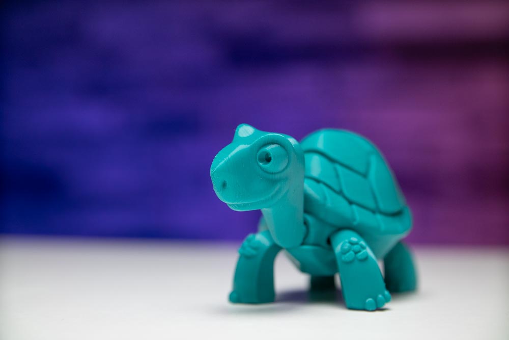 3D Print Turtle