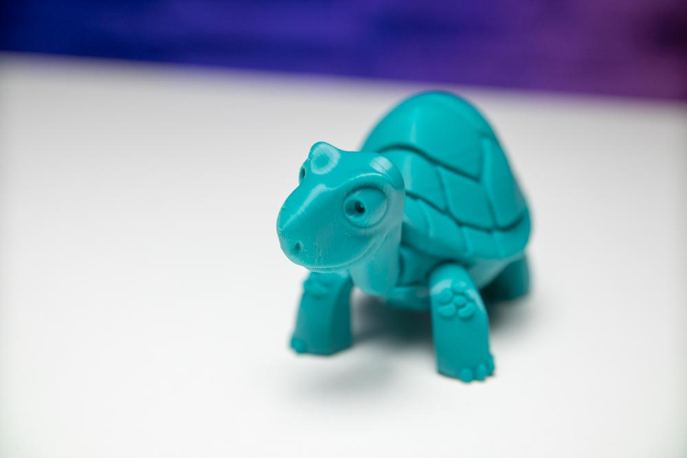 3D Printed Turtle