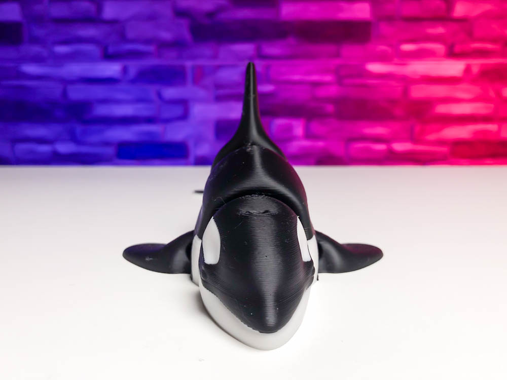 Articulated Multicolor Orca