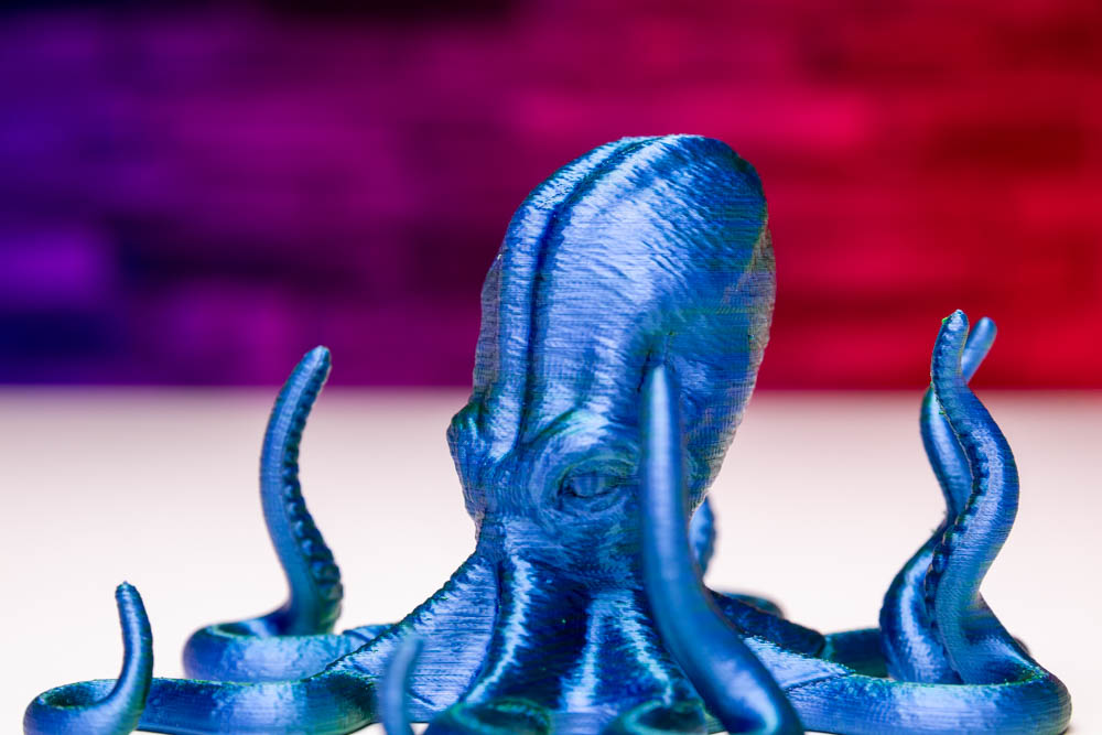 3D Print Dualcolor Sea Creature Octopus