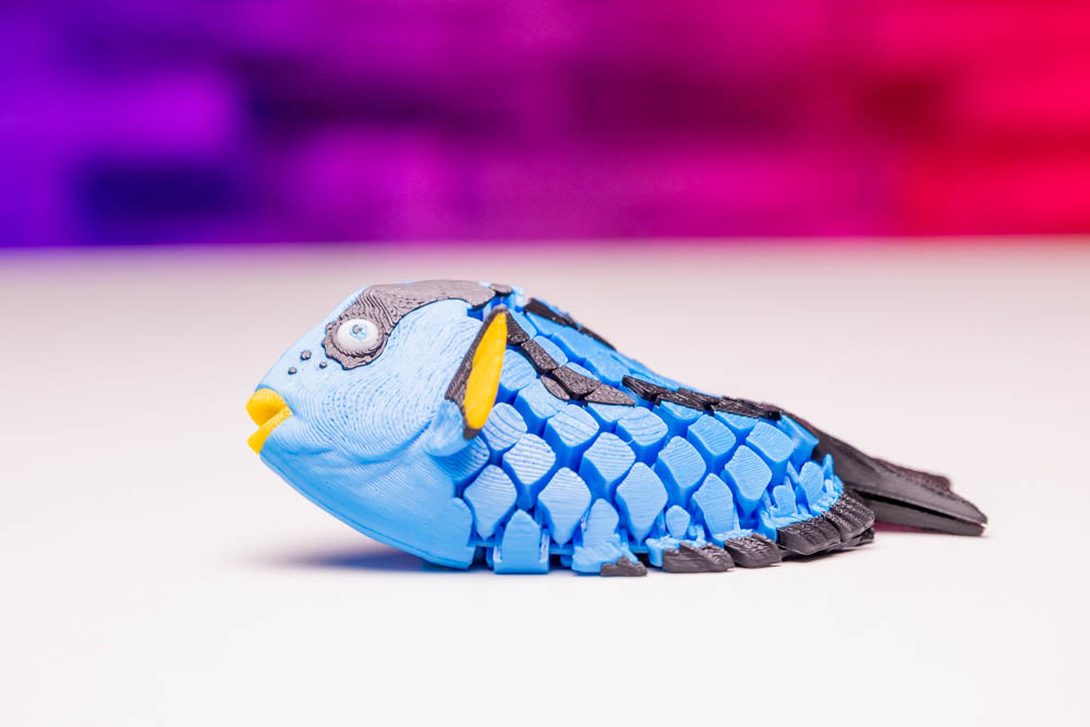 3D Print Blue Tang Articulated Dory Fish STL for download