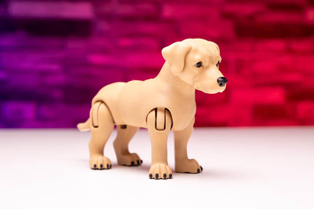 3D Print King Articulated Multicolor Labrador Dog STL for download