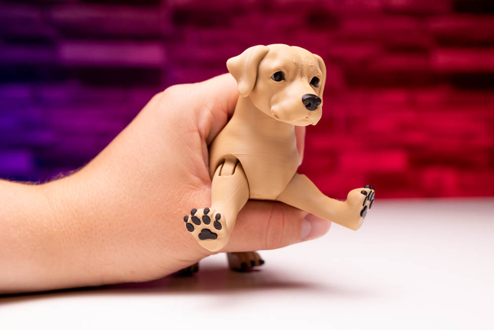 3D Print King Articulated Multicolor Labrador Dog STL for download