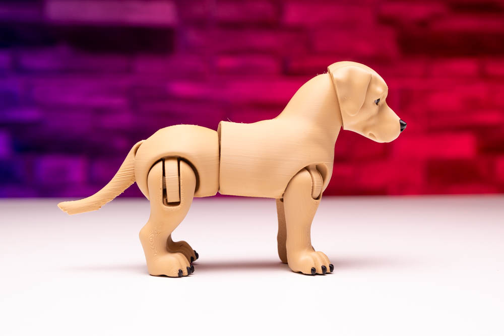 3D Print King Articulated Multicolor Labrador Dog STL for download