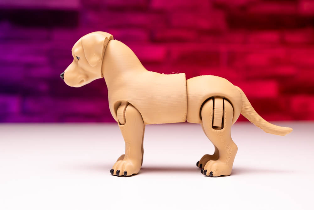 3D Print Labrador Dog