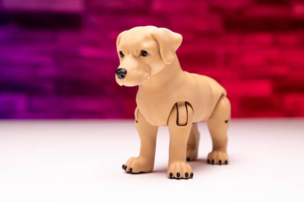 3D Print Multicolor Labrador Dog STL for download