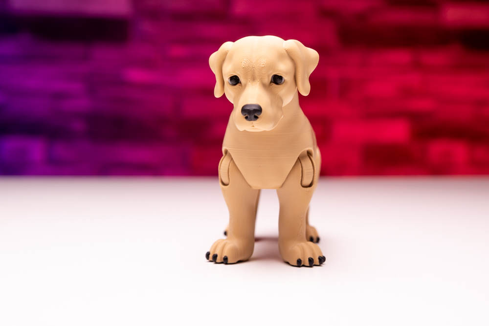 3D Print King Articulated Multicolor Labrador Dog STL for download