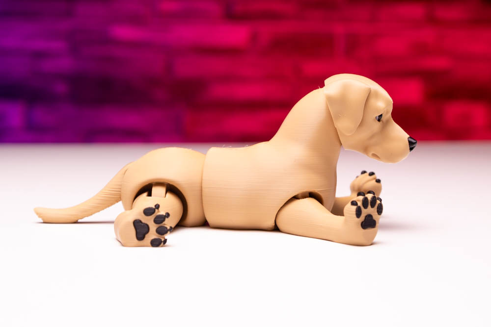 3D Print King Articulated Multicolor Labrador Dog STL for download