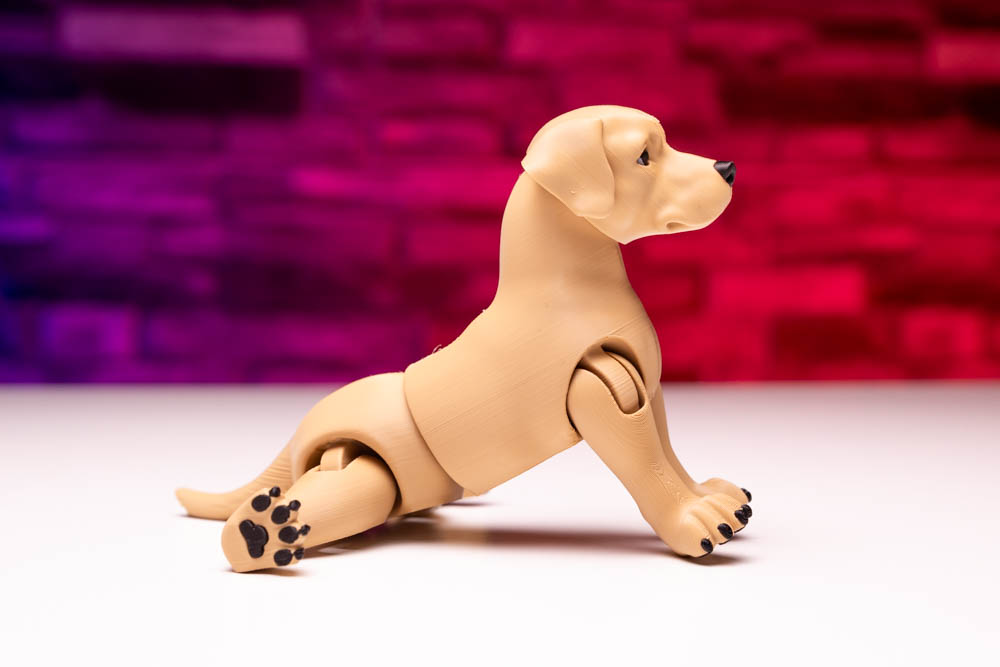 3D Print King Articulated Multicolor Labrador Dog STL for download