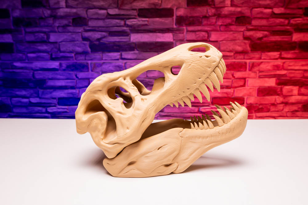 3D Print Prehistoric Dinosaur Skull Skeleton STL for download