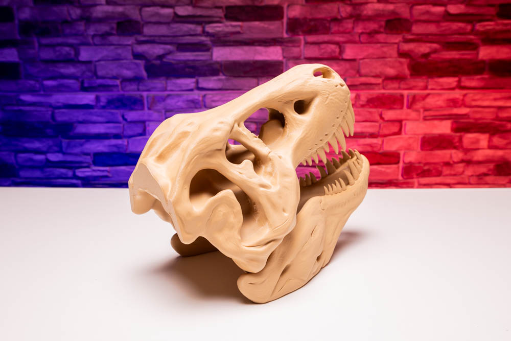 3D Print T-Rex Dinosaur Skull STL for download