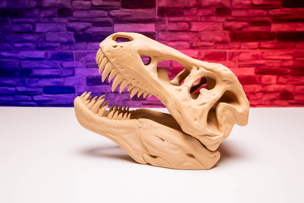 3D Print Prehistoric Dinosaur Skull Skeleton