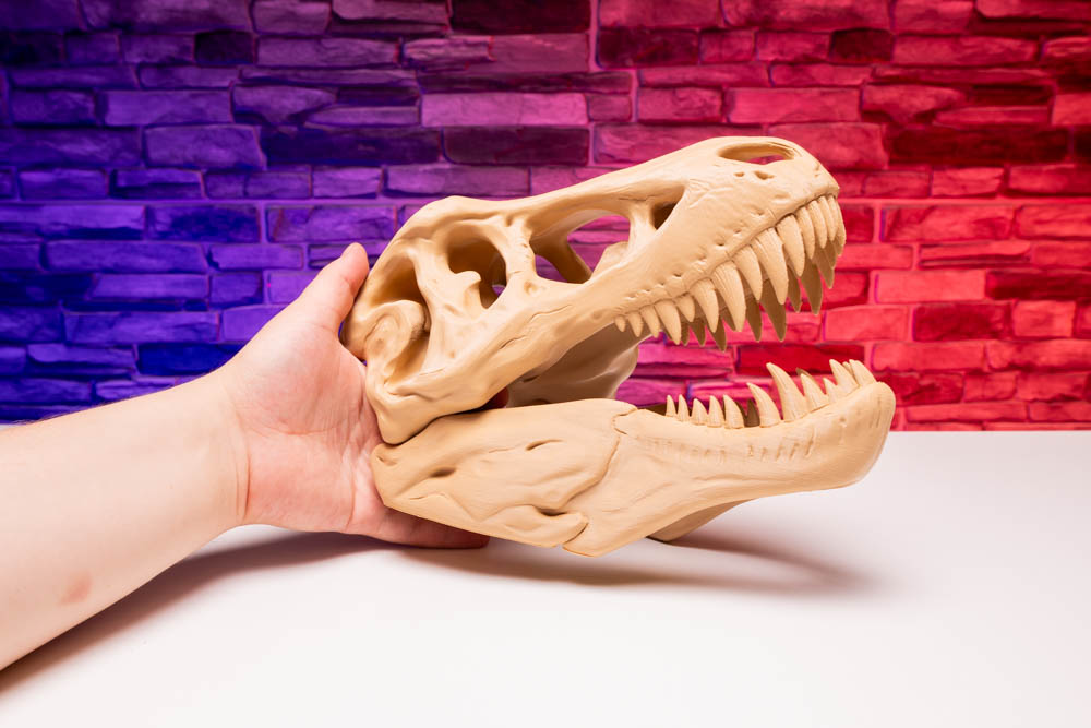 3D Print Dinosaur Skull Skeleton STL for download