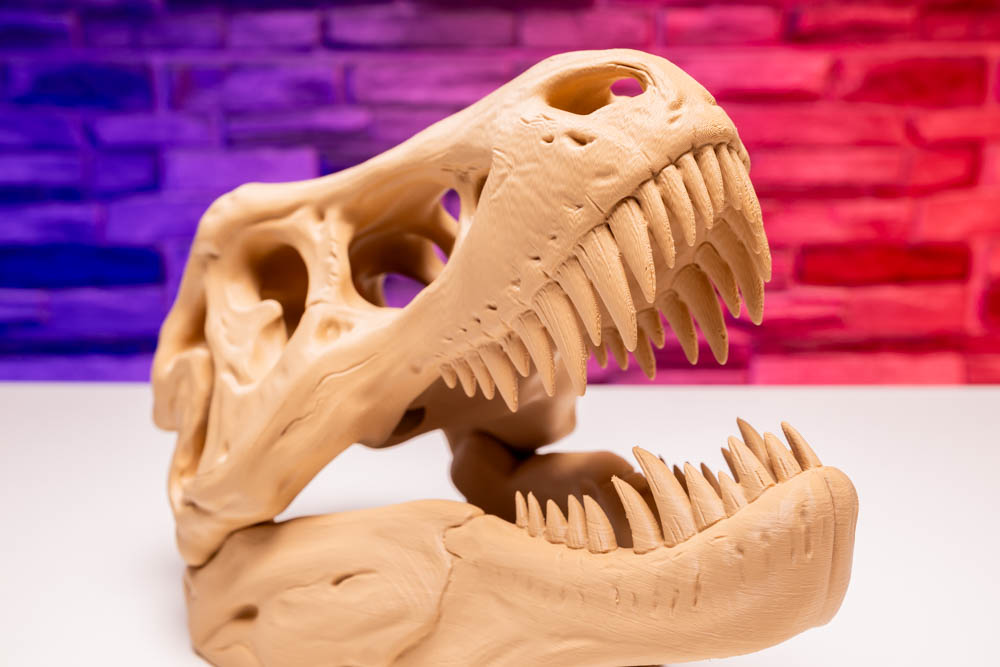 3D Print Prehistoric Dinosaur Skull Skeleton STL for download