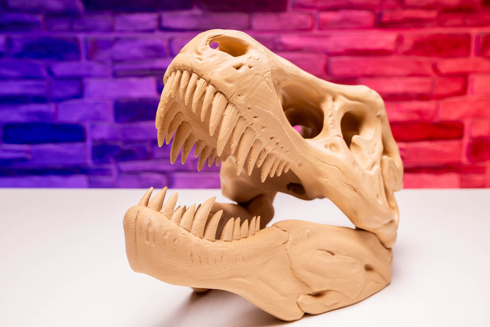 3D Print T-Rex Dinosaur Skull STL for download