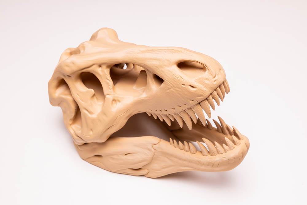 3D Print T-Rex Dinosaur Skull STL for download