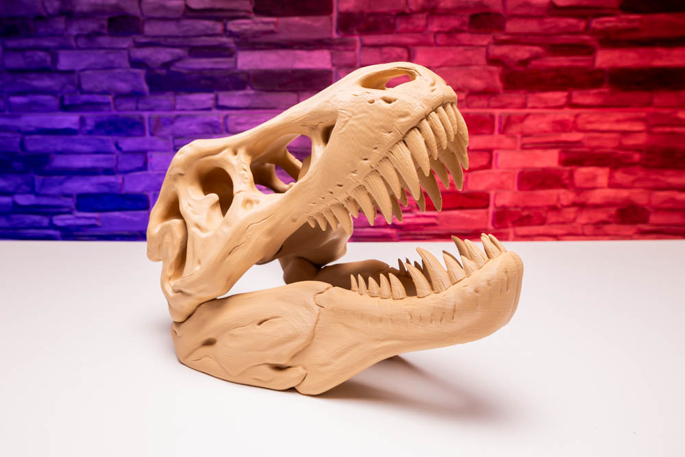 3D Print Prehistoric Dinosaur Skull Skeleton STL for download