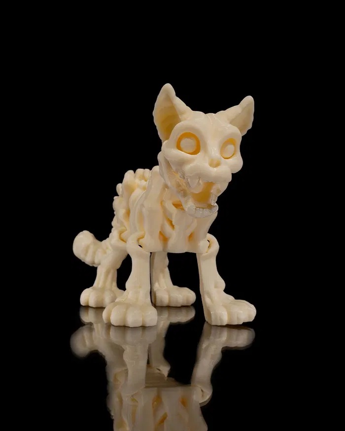 3D Printed Skeleton Cat