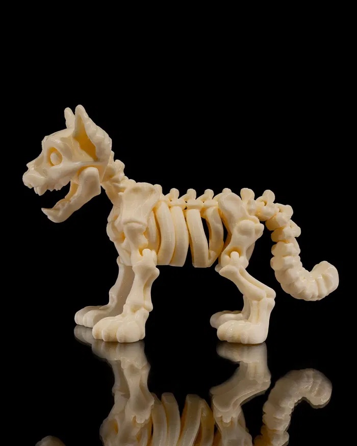 3D Print Skeleton Cat STL for download