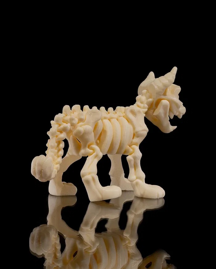 3D Print Skeleton Cat