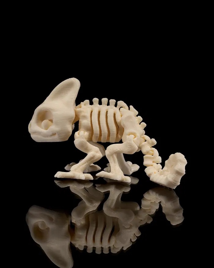 3D Print Skeleton Chameleon STL for Download