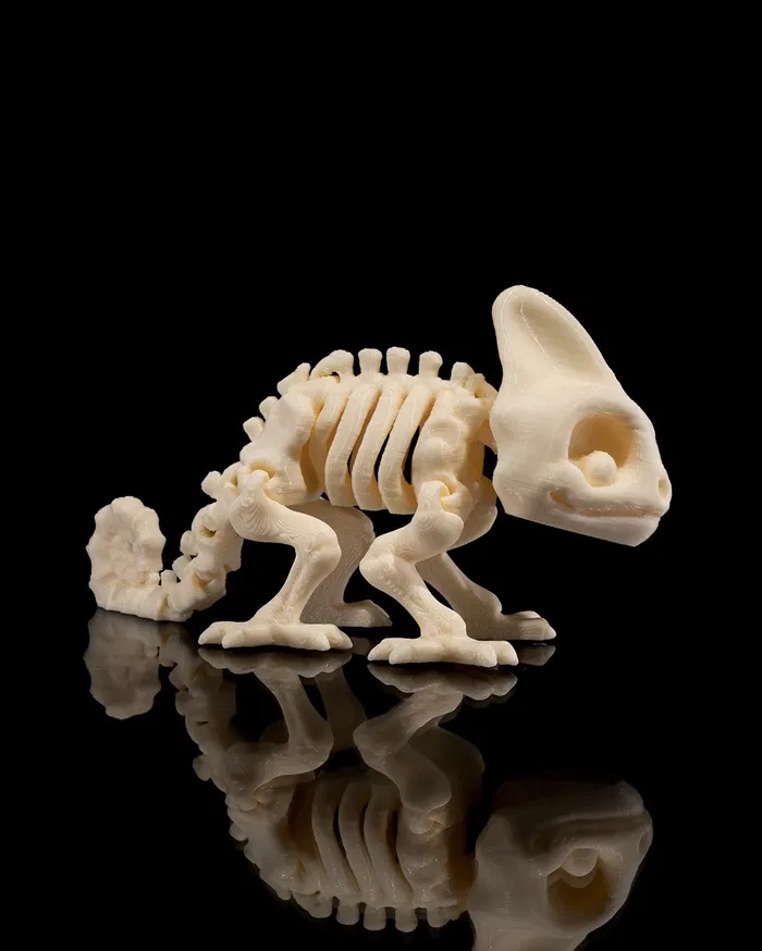 3D Print Skeleton Chameleon STL for download