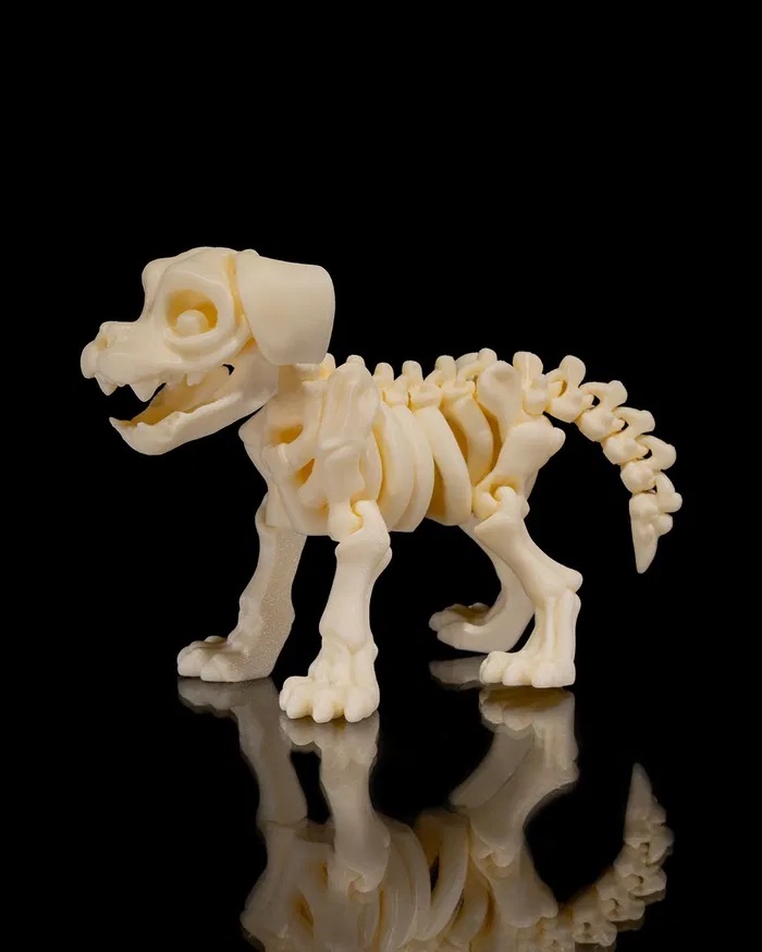 3D Print Skeleton Dog STL for download