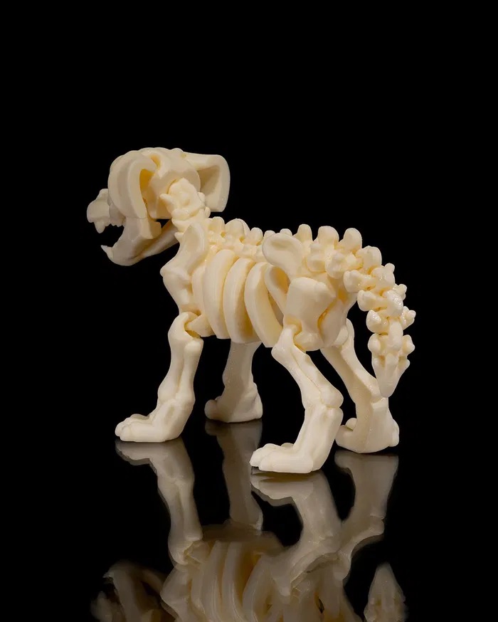 3D Print Skeleton Dog STL for Download