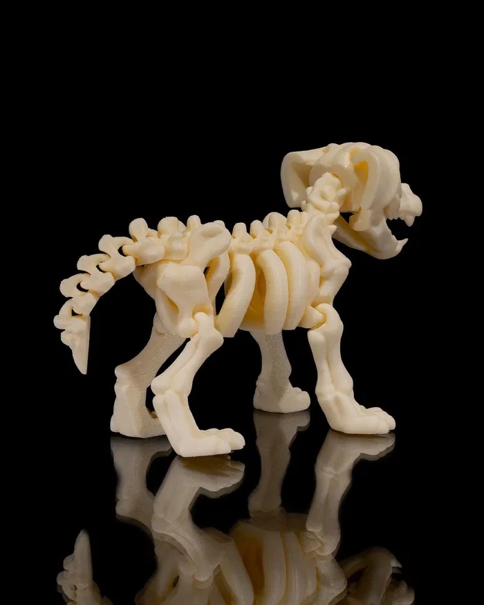 3D Print Skeleton Dog STL for Download