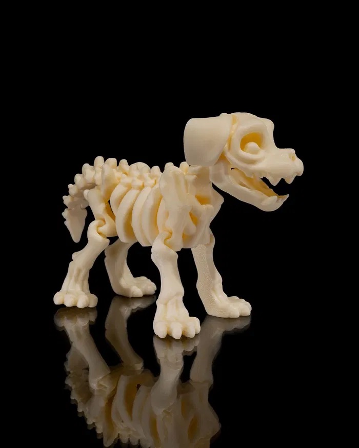 3D Print Skeleton Dog STL for download