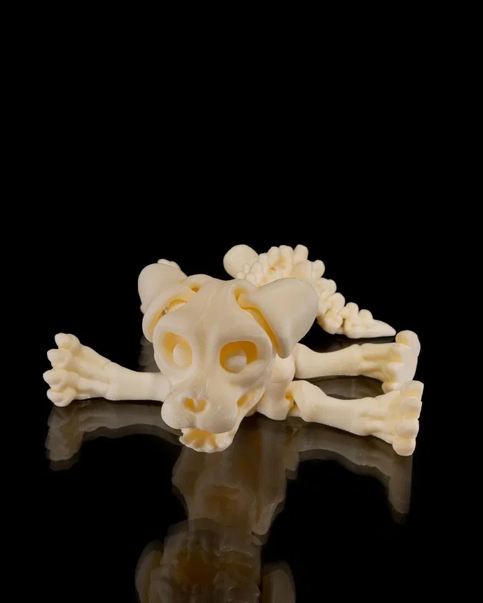 3D Print Skeleton Dog