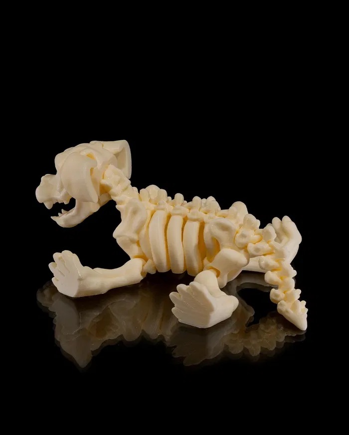 3D Print Skeleton Dog