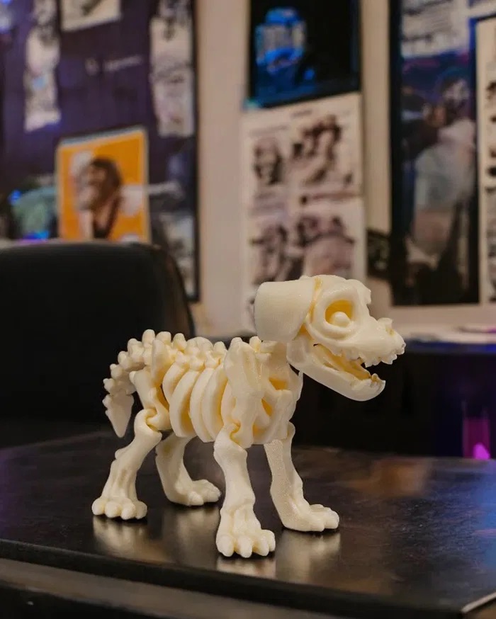 3D Print Skeleton Dog