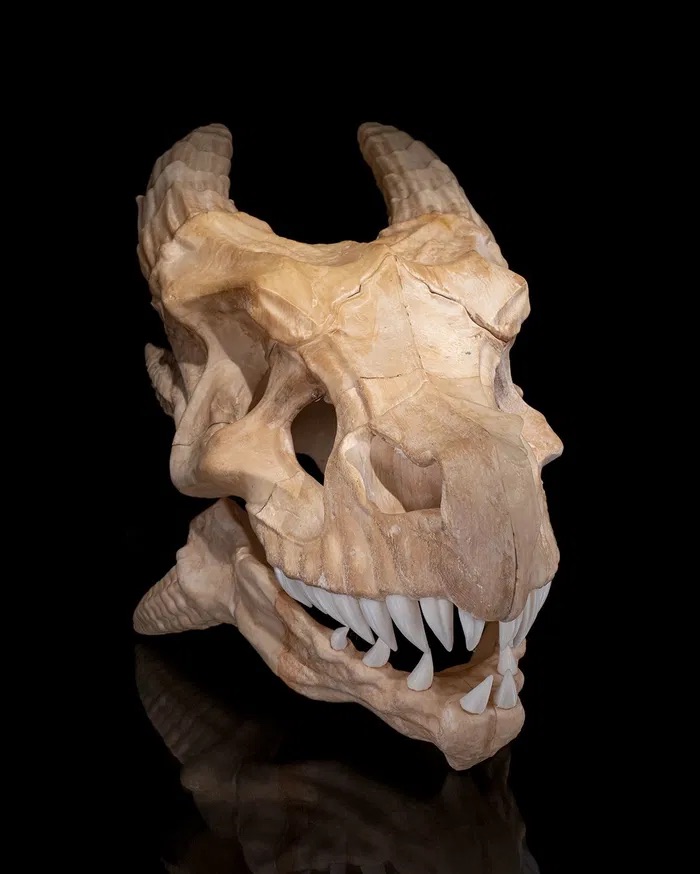 3D Print Epic Red Dragon Skull STL for download