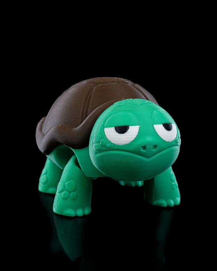 3D Printed Surprised Turtle STL for download