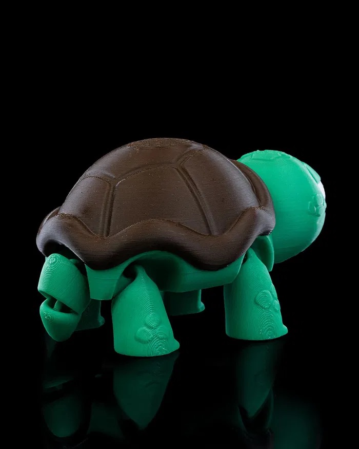 3D Printed Surprised Turtle STL for Download