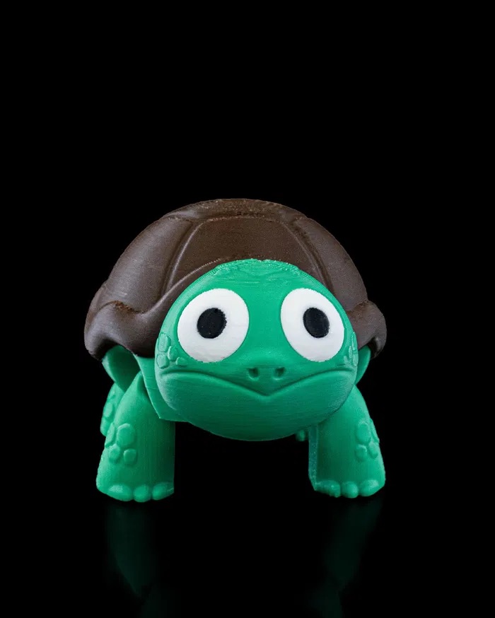 3D Printed Surprised Turtle STL for Download