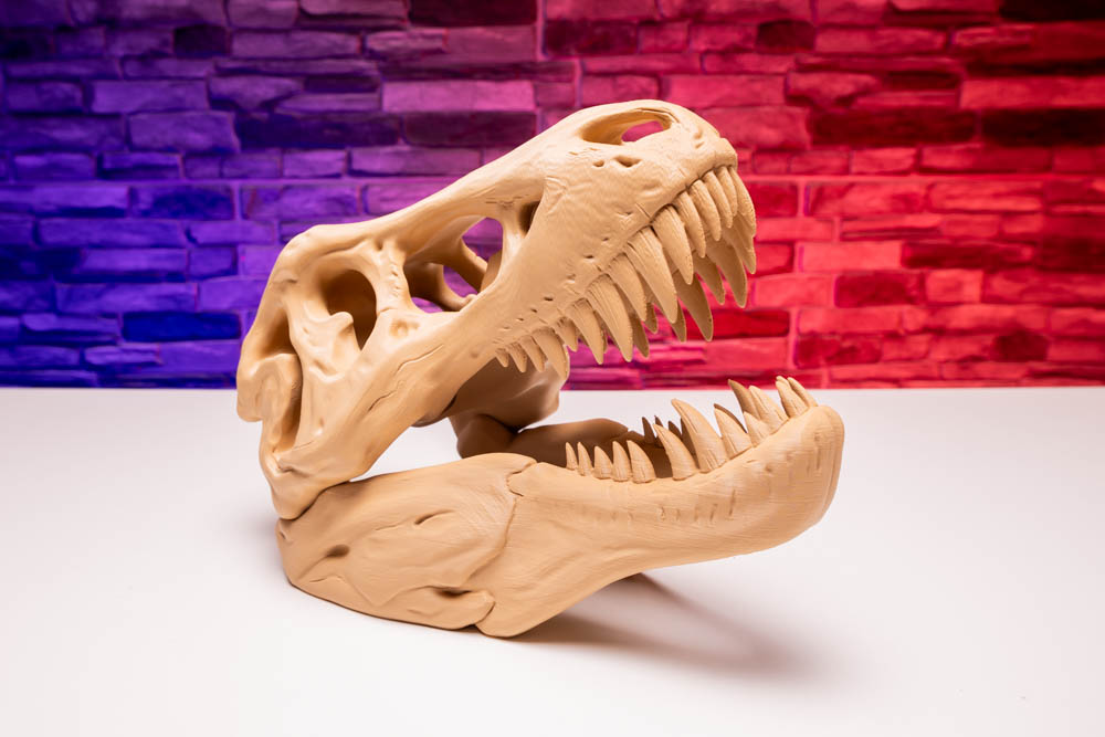 3D Print T-Rex Skull